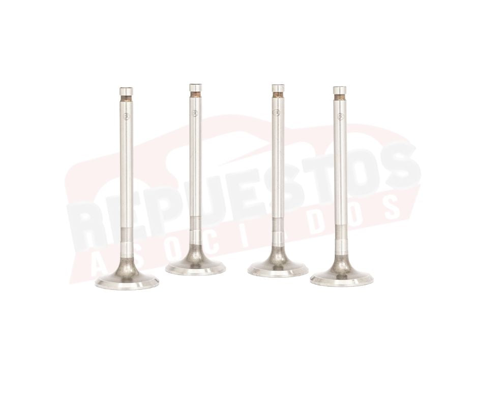 VÁLVULAS DE ADMISIÓN DOKURO  ITY-0570 TOYOTA HILUX 1998-2008